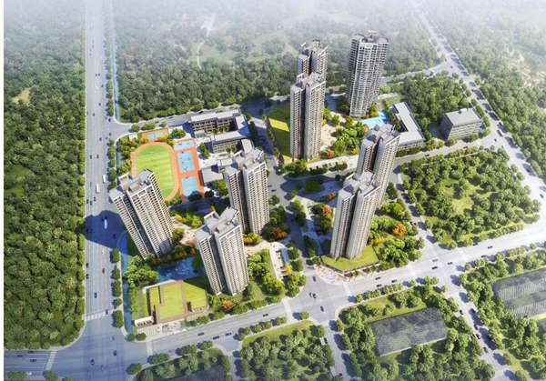 1587363036364695.jpg 1587363036364695.jpg