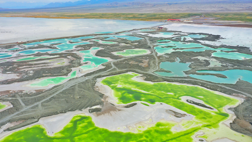 1631084425116609.jpg 1631084425116609.jpg