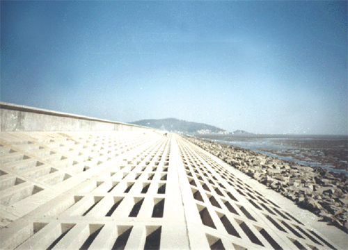 臺(tái)州發(fā)電廠(chǎng)六號(hào)灰?guī)旎覊喂こ?/>
					      <p><a href=